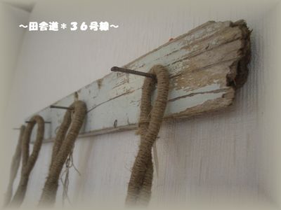 *木の実*