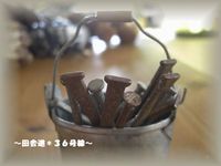 *木の実*