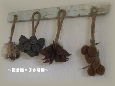 *木の実*