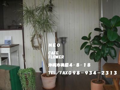 *CAFE FLOWER NEO* ~ランチ編~