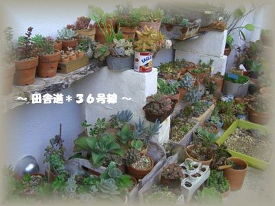 引越しです。。