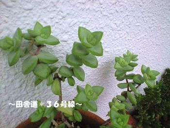 王子様(^^)