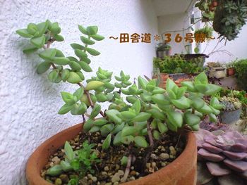 王子様(^^)