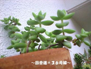 王子様(^^)
