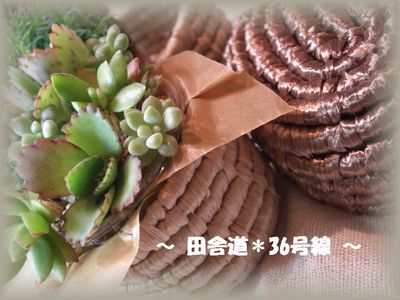 おやこ市へ。。。