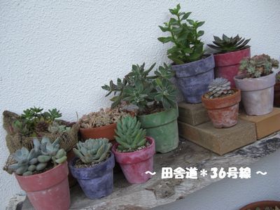 作業進まず・・・本日終了!