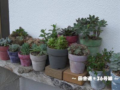 作業進まず・・・本日終了!