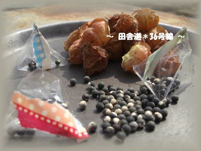 *ハートの種*