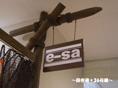 革:e-sa