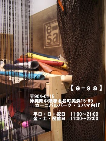 革:e-sa