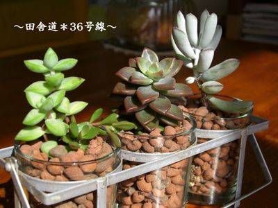 おうちの中へ。。。