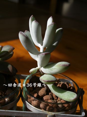 おうちの中へ。。。