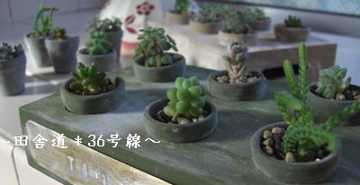 一ヶ月ぶりにログイン。