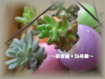 *ちゃこの店へ。。。