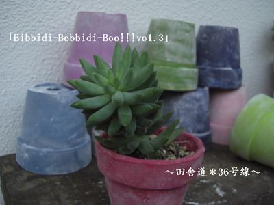 Bibbidi-Bobbidi-Boo!!!vo1.3 カラー鉢
