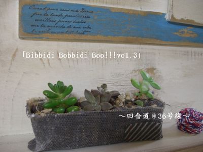 「Bibbidi-Bobbidi-Boo!!!vo1.3」 限定鉢