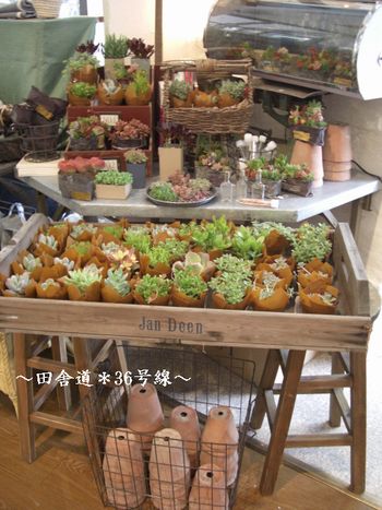 【のみの市】 たくさんの方に感謝です。