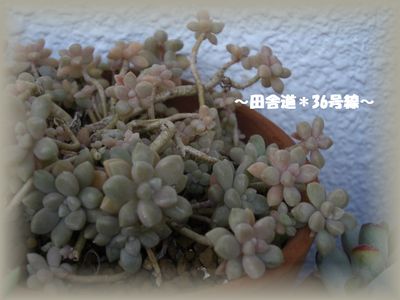 ヒューヒューと風が・・・(^ー^;)