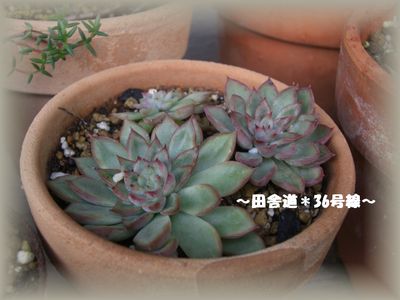 ヒューヒューと風が・・・(^ー^;)