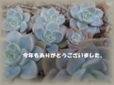 ヒューヒューと風が・・・(^ー^;)