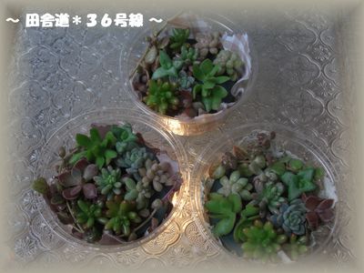プレゼントします。(^ー^)♪