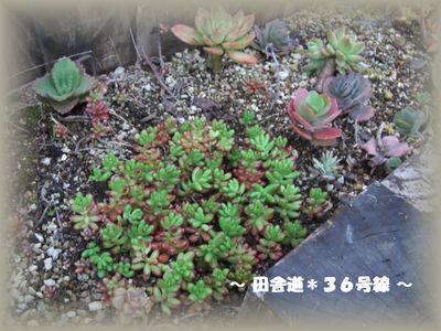 あるのになぁ~/(* 0 *)\