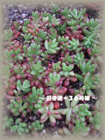 あるのになぁ~/(* 0 *)\