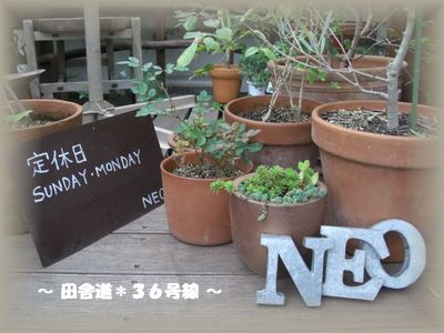 *CAFE FLOWER NEO* ~ランチ編~