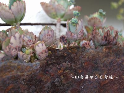 サビサビだけど・・・・