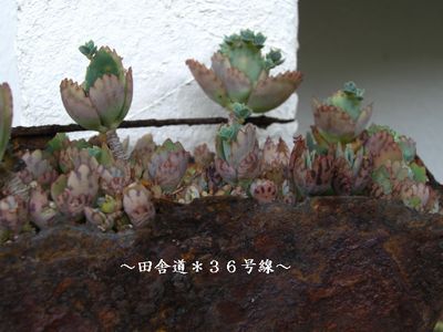 サビサビだけど・・・・