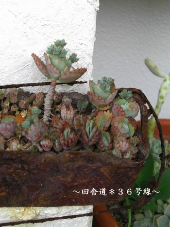 サビサビだけど・・・・