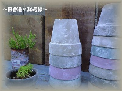 *新色の鉢