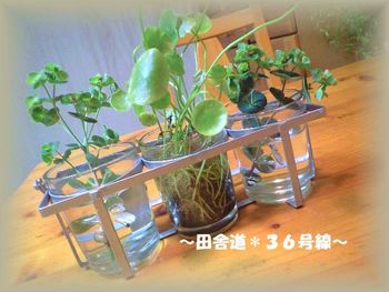 *突然なのに。。。*