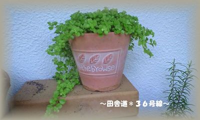 復活!!!!