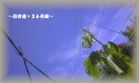 そろそろ(^^)