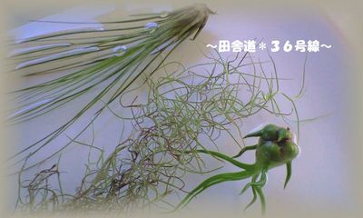 *入浴中(^^)/*