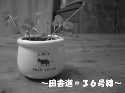 おじぃーありがとう。。。