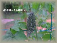 そろそろ(^^)