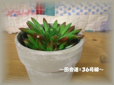 新人で~す!!