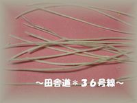 懐かしい。。。