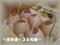 懐かしい。。。