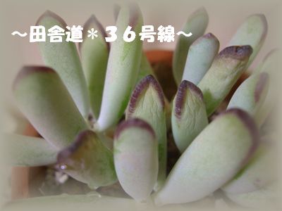 チェックをしなくては。。。