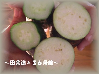 収穫。。。