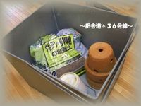 お持ち帰り。。。
