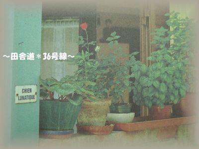 憧れ。。。