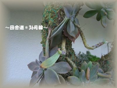 夏から秋にかけて