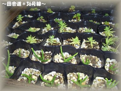 楽しい~♪