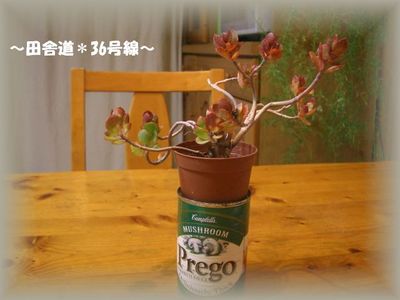 仲間入り(^^)