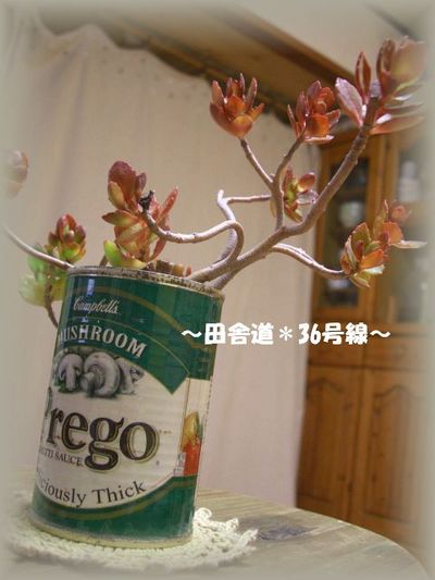 仲間入り(^^)