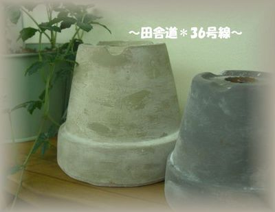 *新色の鉢
